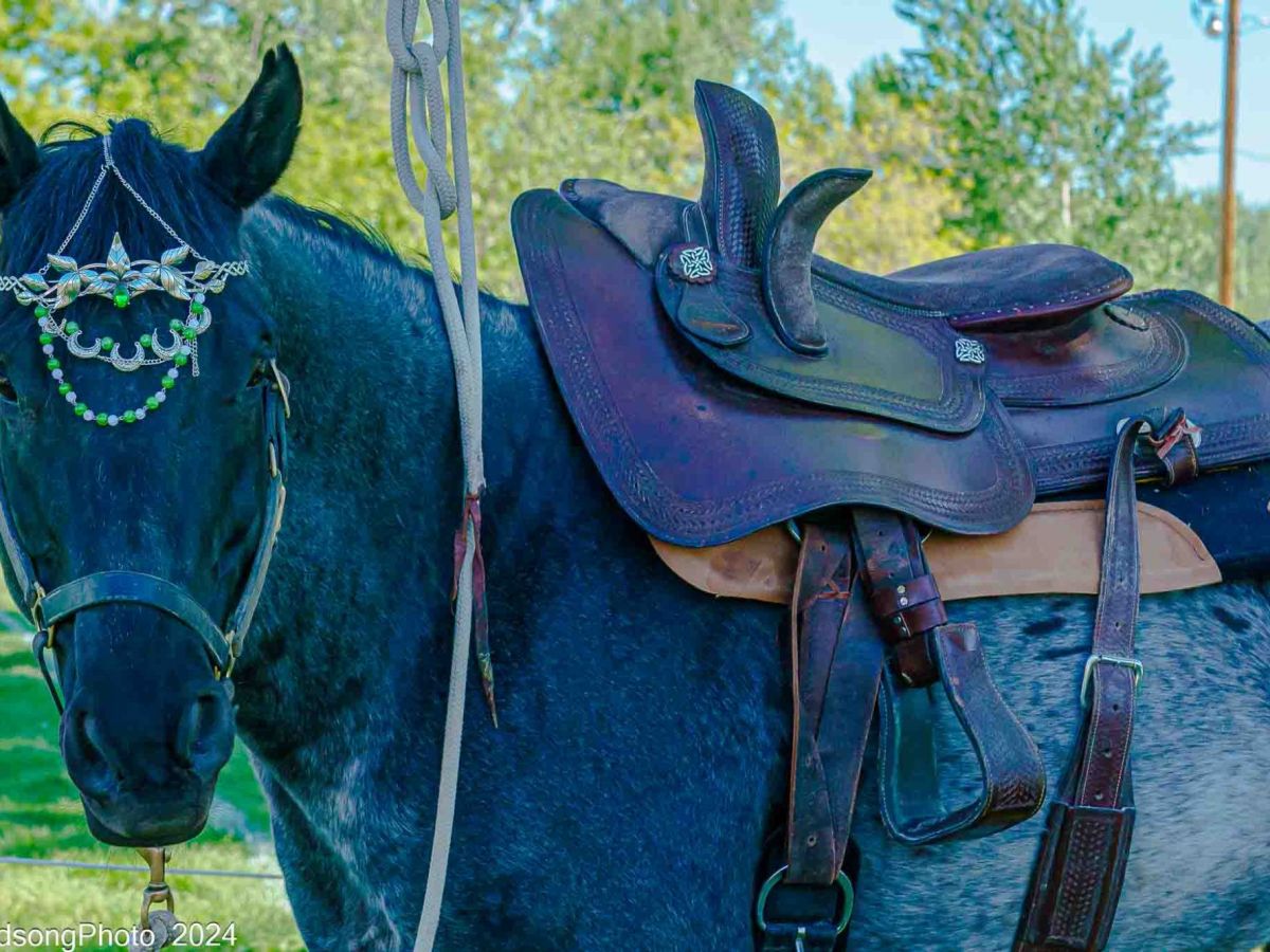 Cosplay- Beltane Sidesaddle
